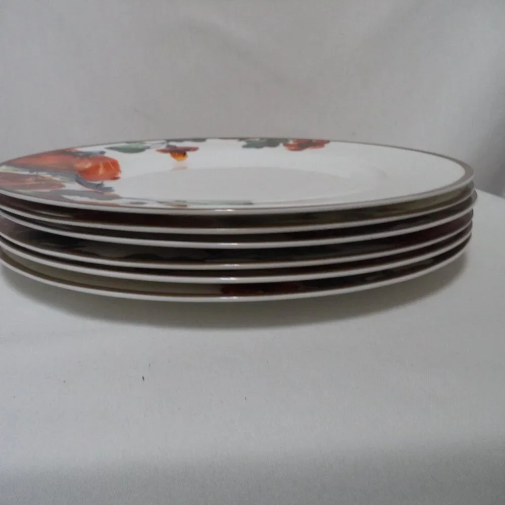 Ciroa Pumpkin Autumn Fall Thanksgiving Holiday Dinner Plate Set 6 Porcelain 11